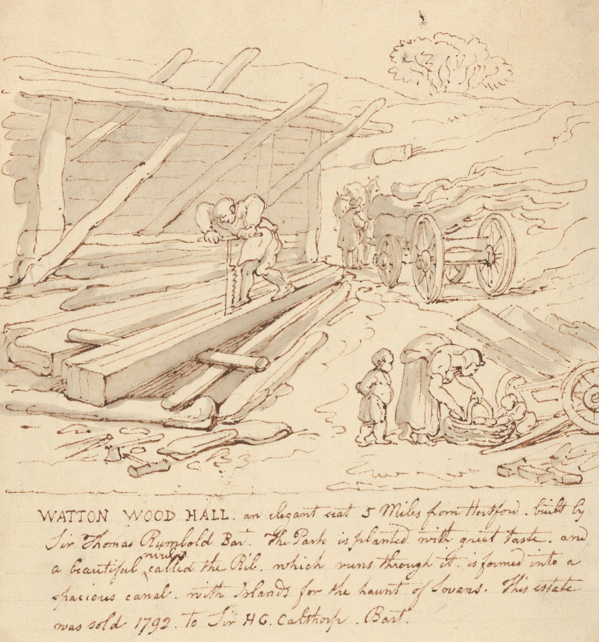 Disegno dell