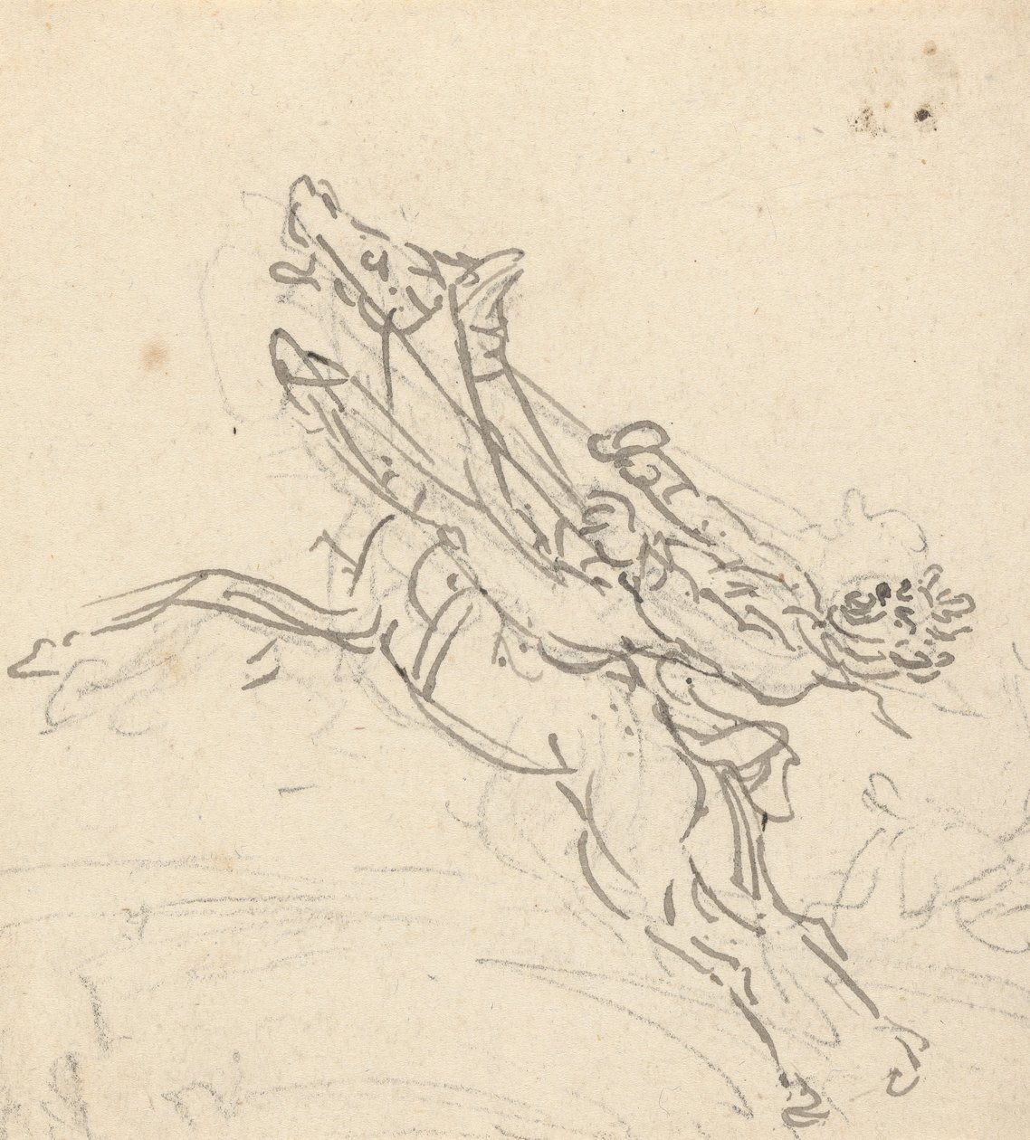 Disegno dell