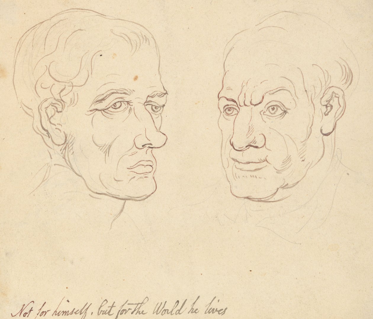 Disegno dell