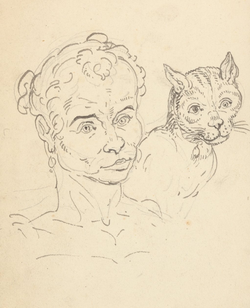 Disegno dell