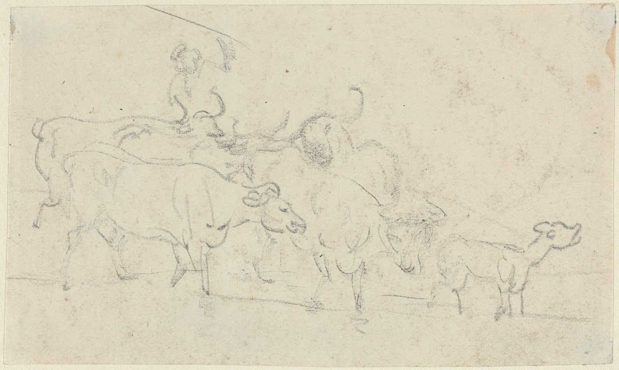 Bovini da Thomas Rowlandson