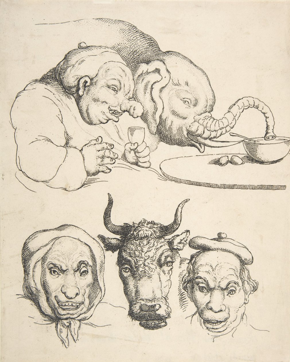 Anatomia comparata da Thomas Rowlandson