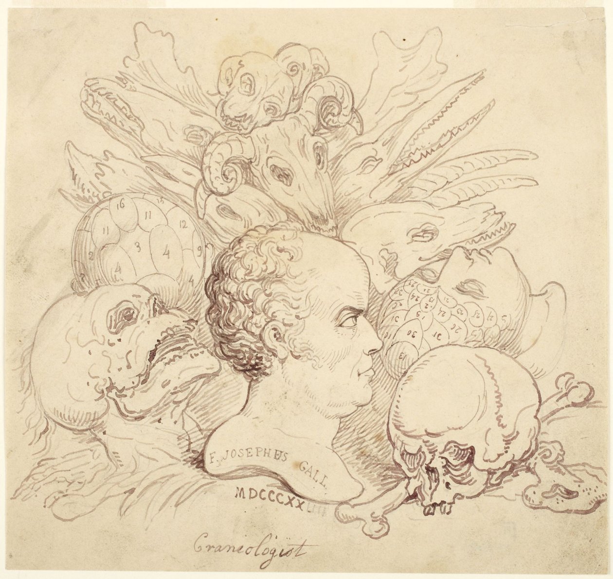 F. Josephus Gall, craniologo da Thomas Rowlandson