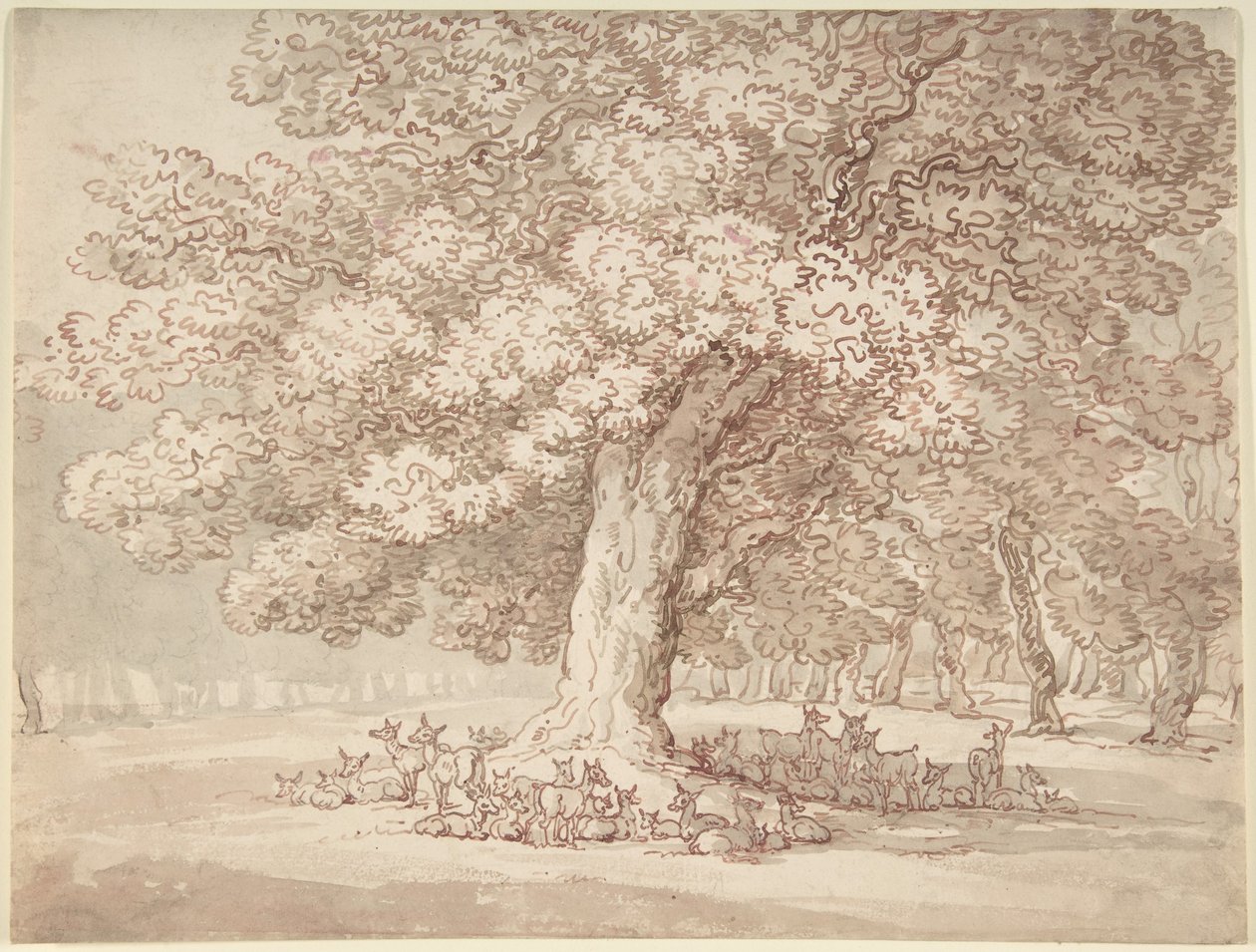 Un branco di cervi sotto una quercia da Thomas Rowlandson