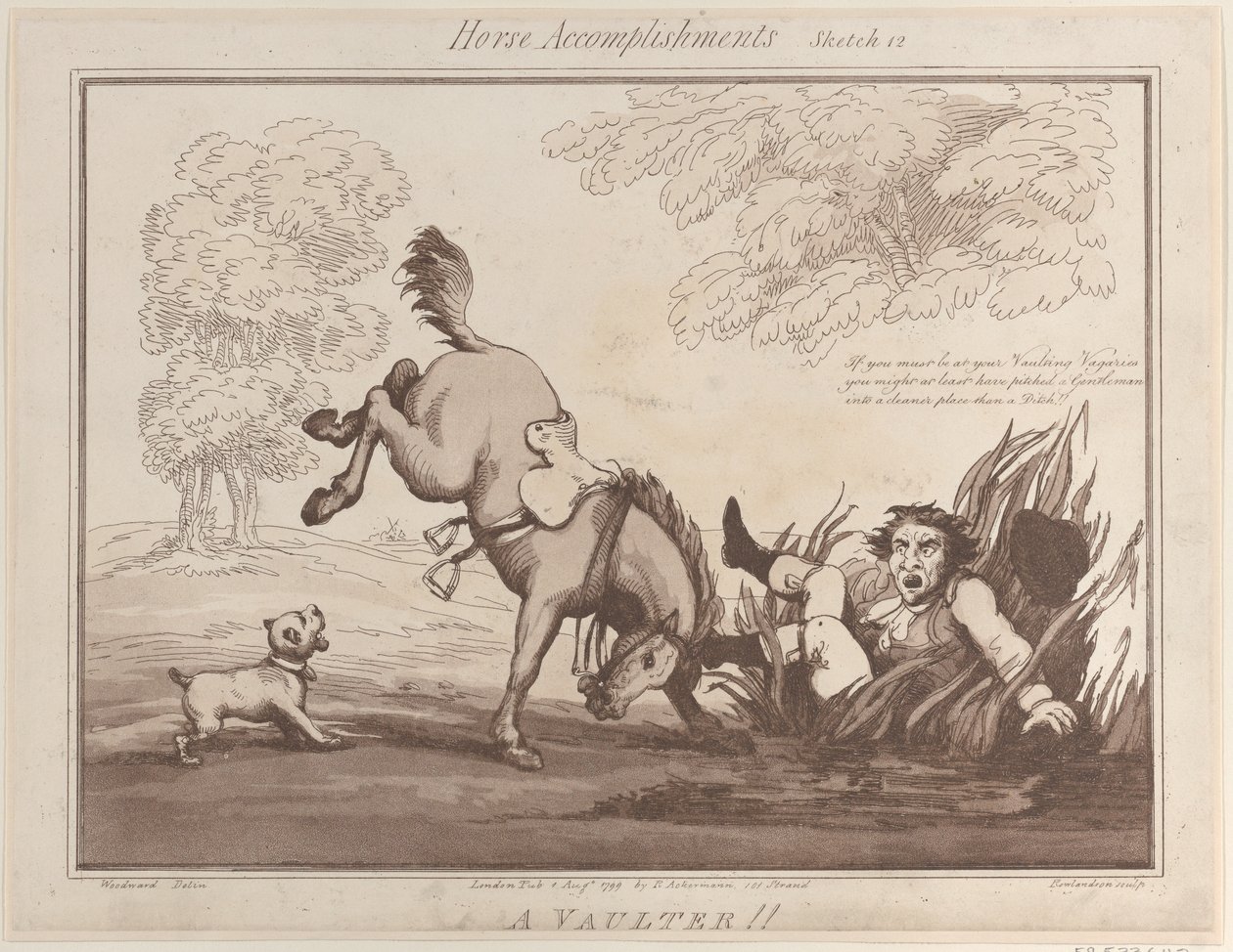 Horse Accomplishments, Sketch 12: A Vaulter !!, 1 agosto 1799 da Thomas Rowlandson