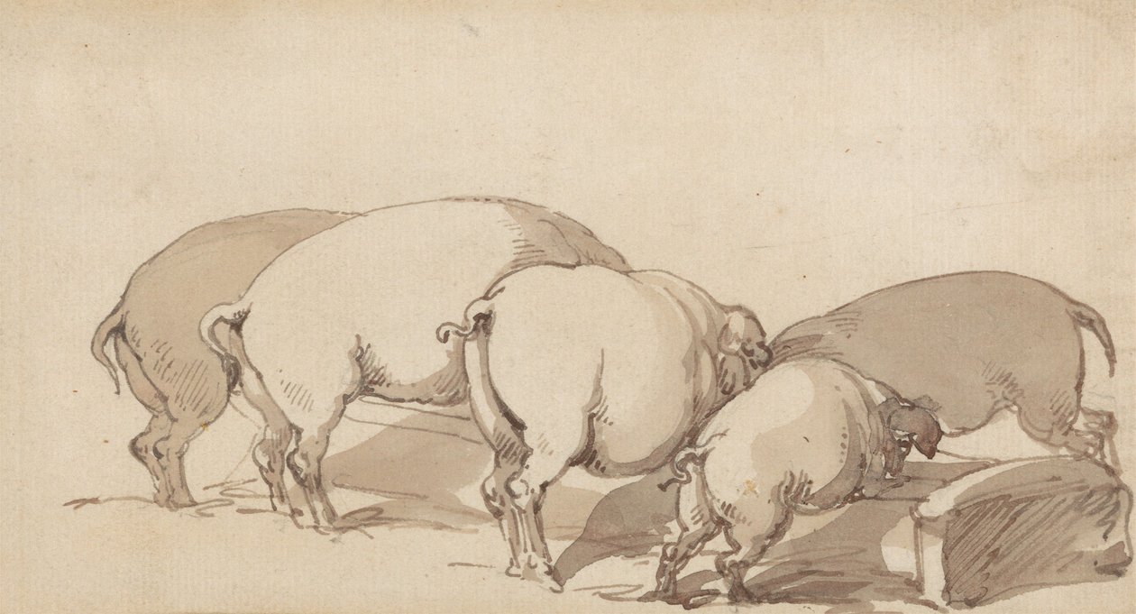 Maiali alla mangiatoia da Thomas Rowlandson