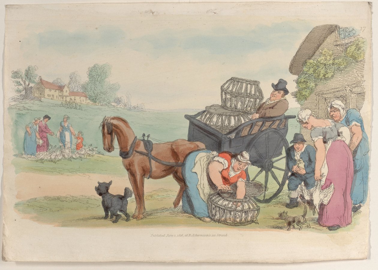 Tavola 17, da Il Mondo in Miniatura da Thomas Rowlandson