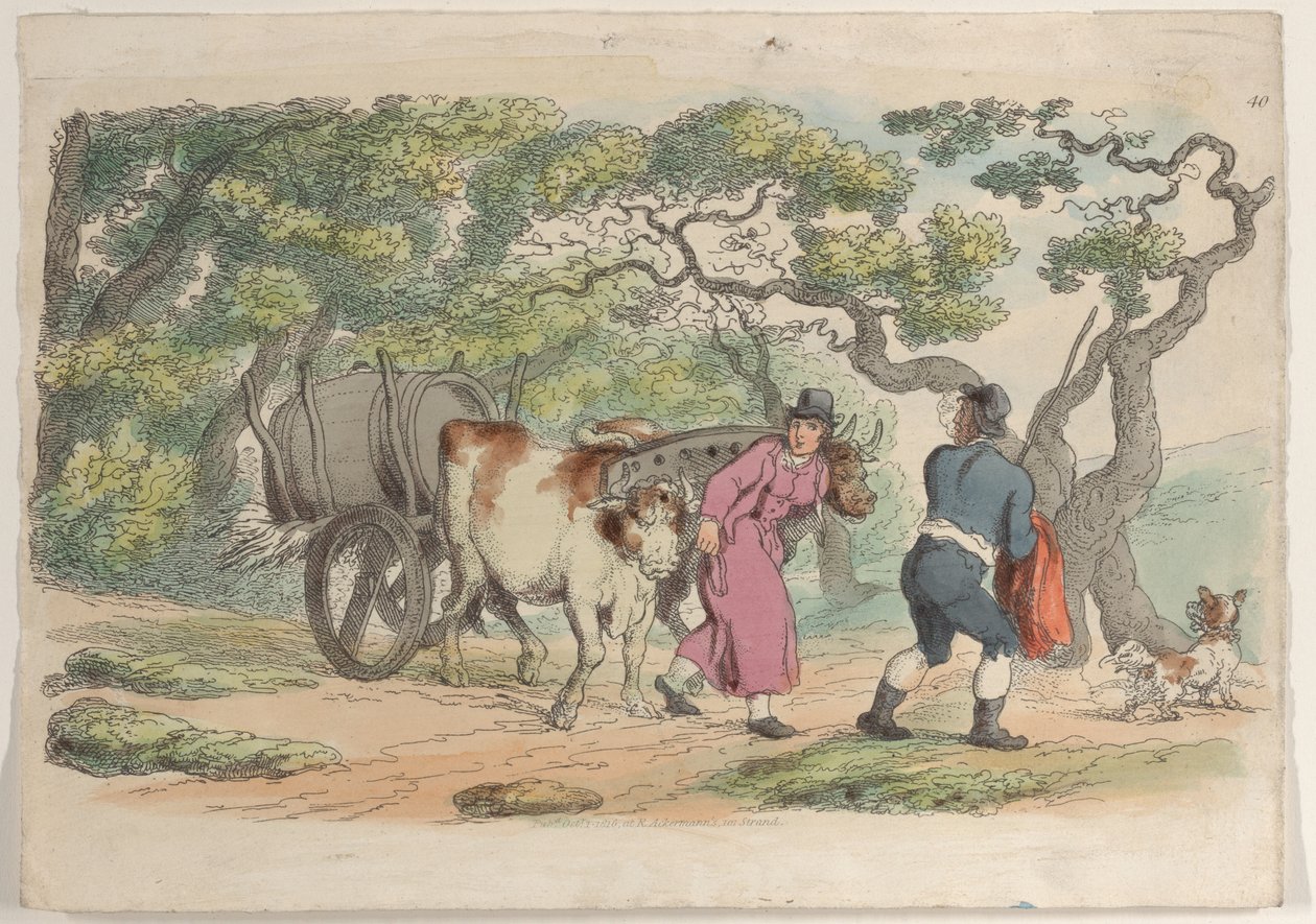 Tavola 40, da World in Miniature, 1816 da Thomas Rowlandson