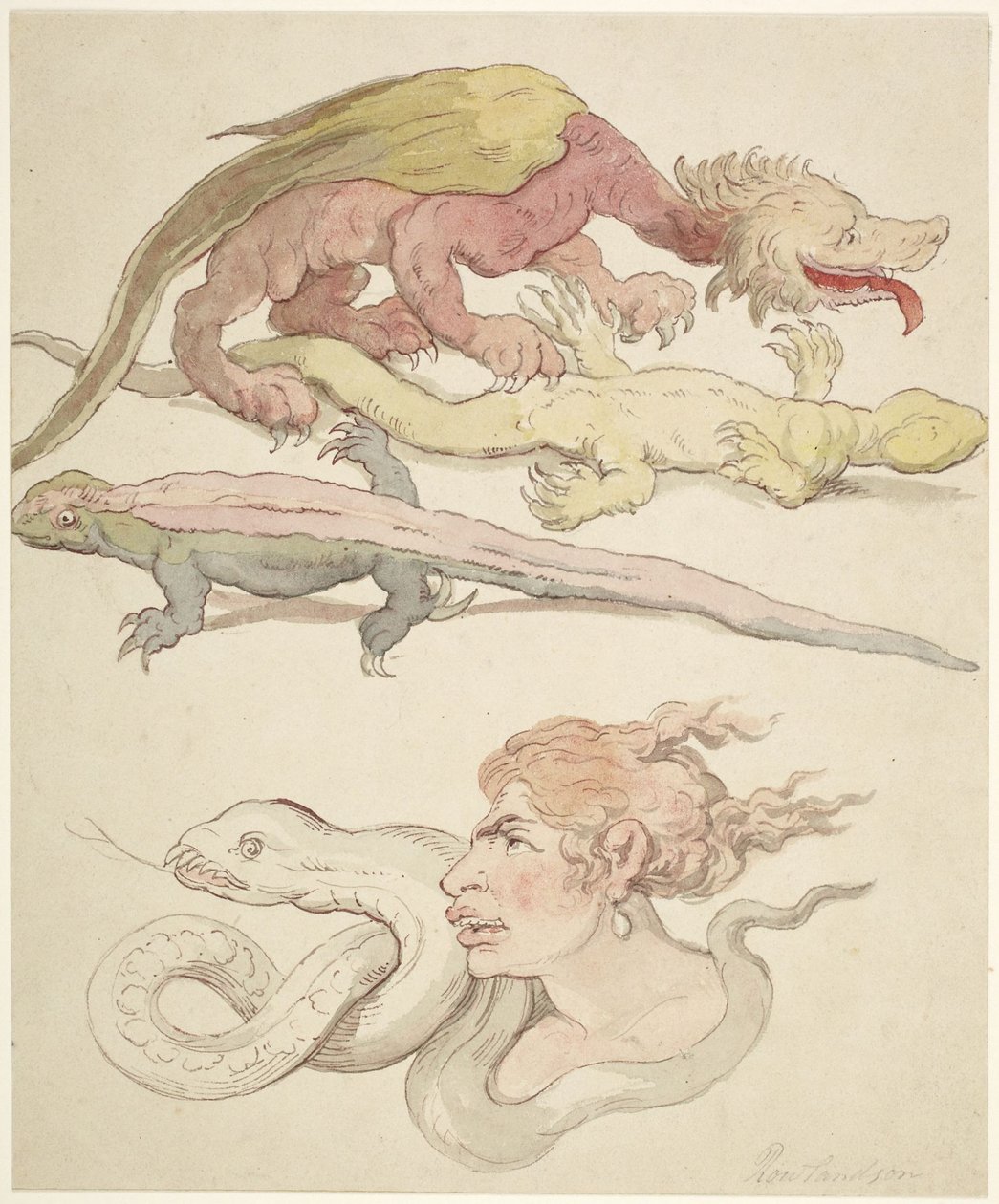 Rettili da Thomas Rowlandson
