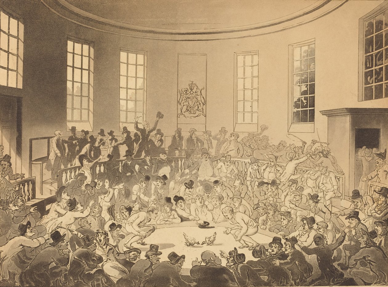 Royal Cock Pit, pubblicato 1808 da Thomas Rowlandson