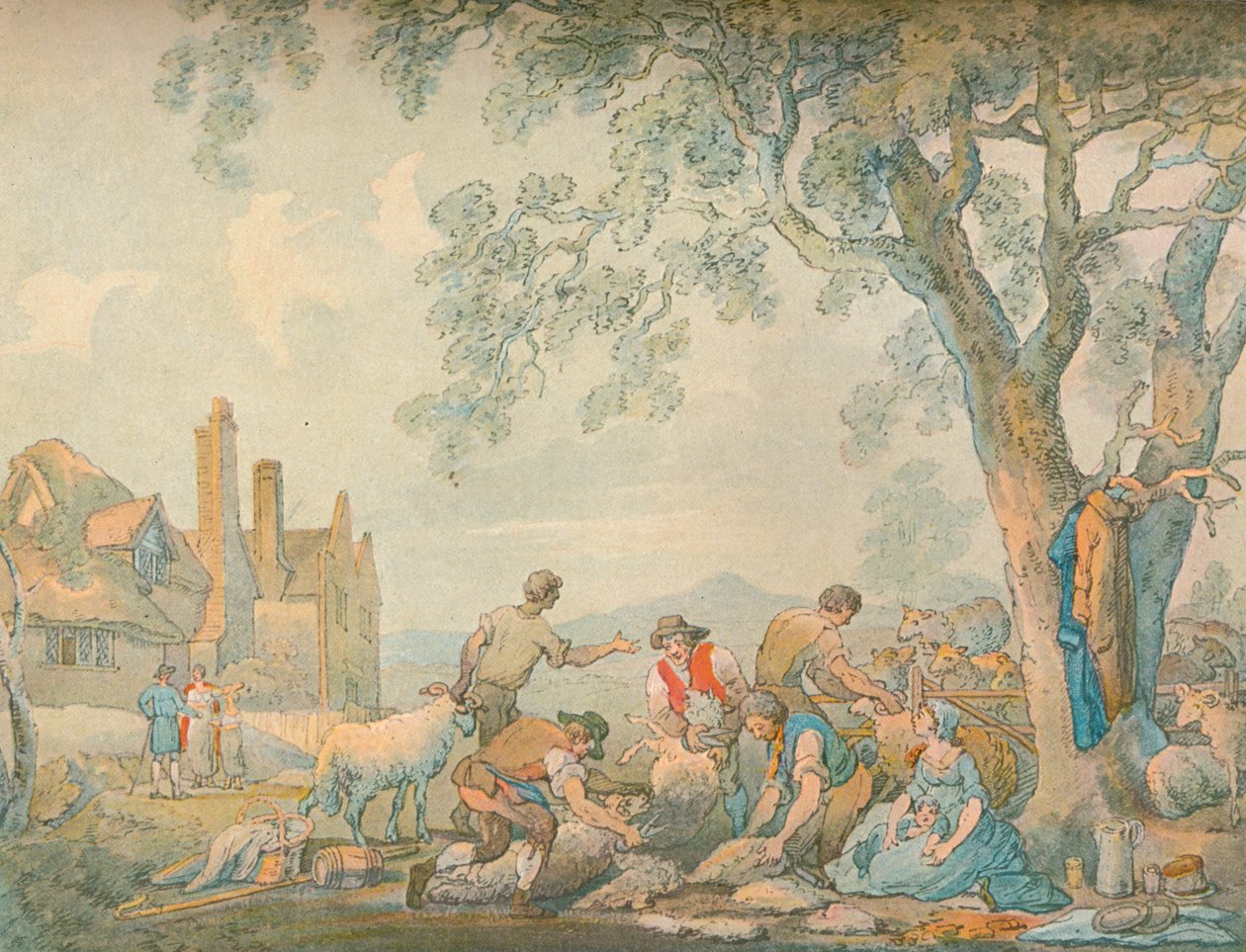 Tosatura delle pecore da Thomas Rowlandson