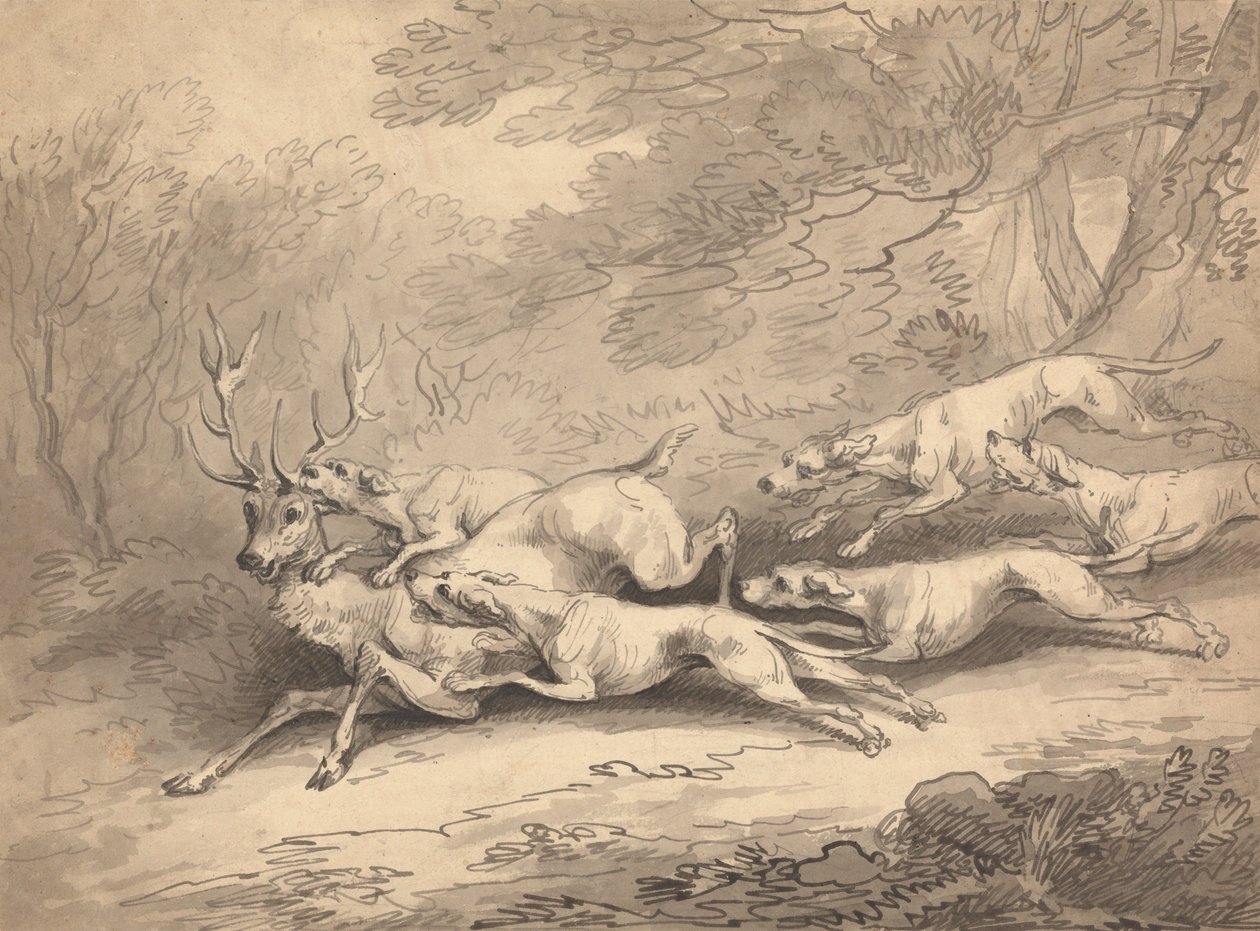 Cervo abbattuto da un branco di cani da Thomas Rowlandson