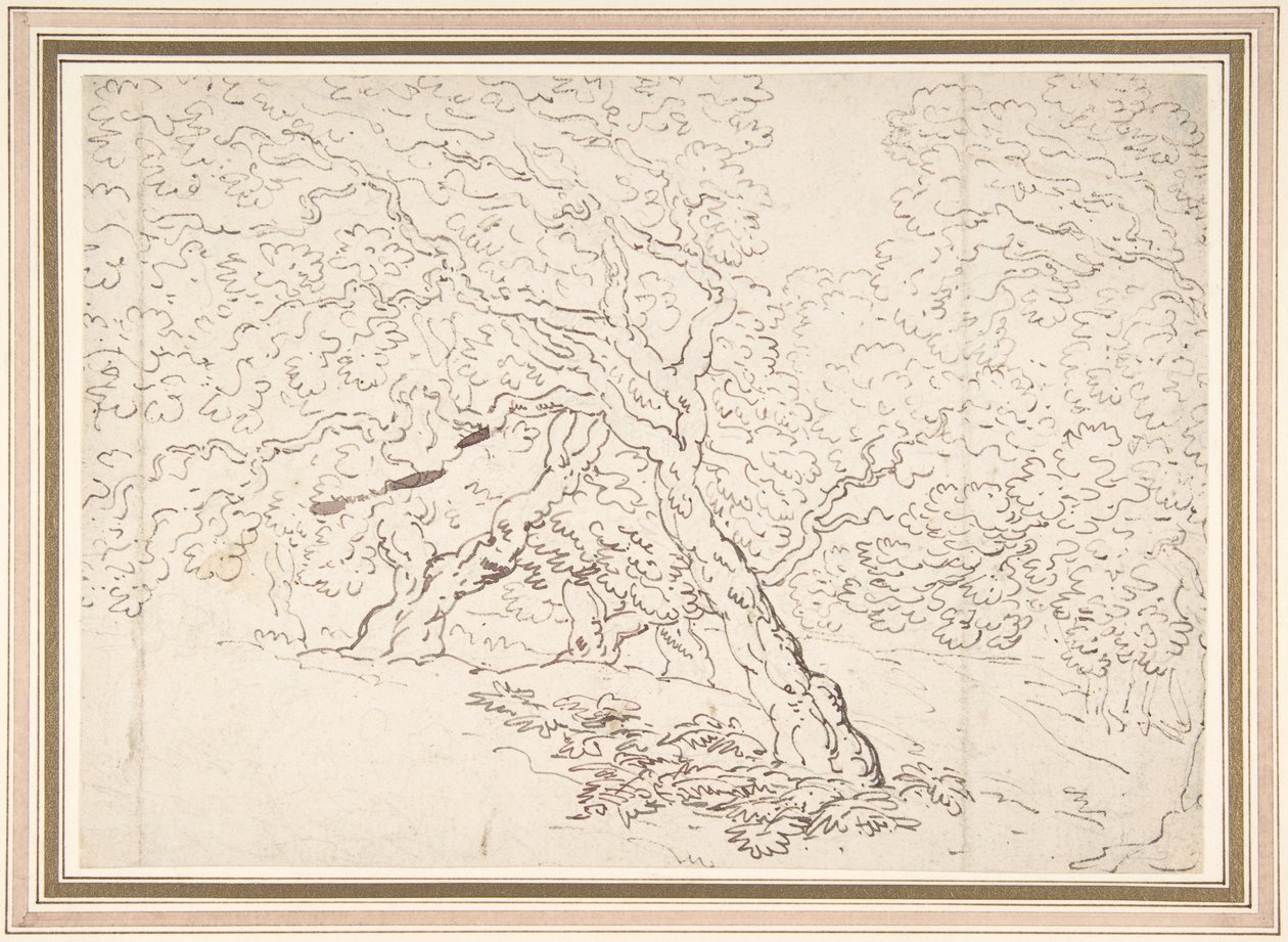 Studio degli alberi da Thomas Rowlandson