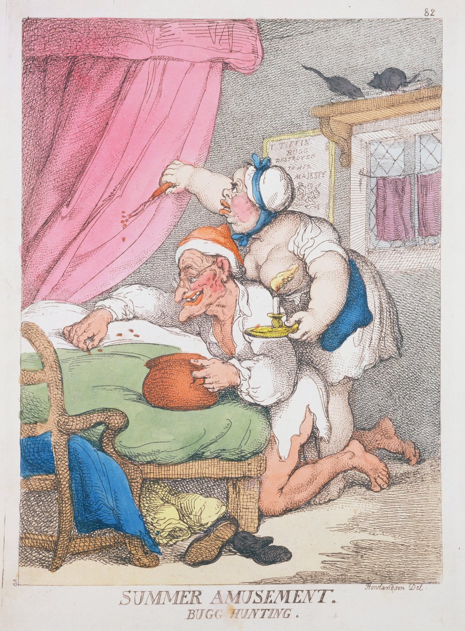 Divertimento estivo. Caccia agli insetti da Thomas Rowlandson