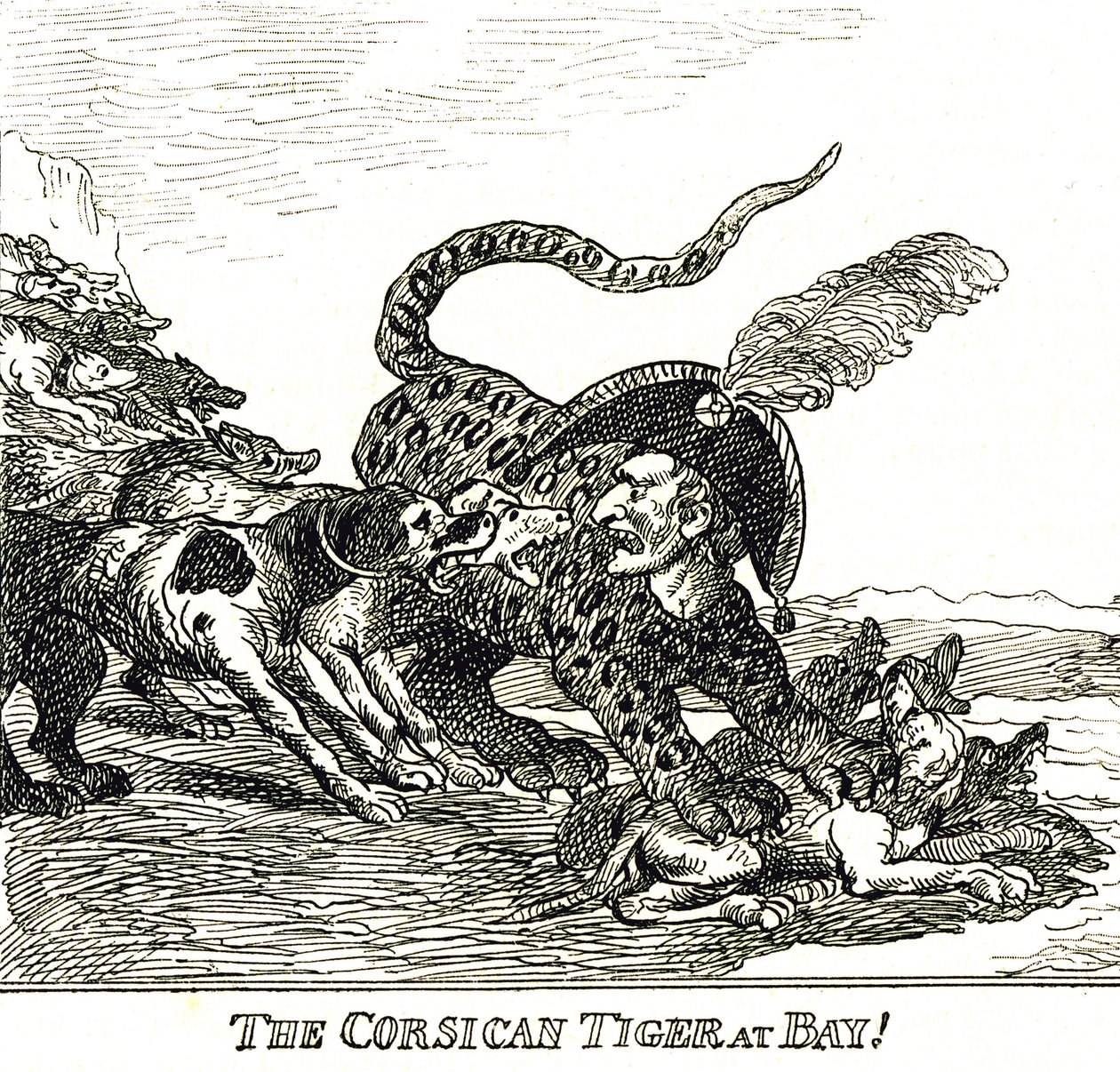 La Tigre Corsicana Abbaiata (Napoleone Bonaparte), caricatura 1808 da Thomas Rowlandson