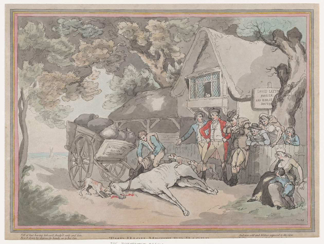 Il cavallo da tiro da La vita di un cavallo da corsa, o Il corridore di razza, 20 luglio 1789 da Thomas Rowlandson