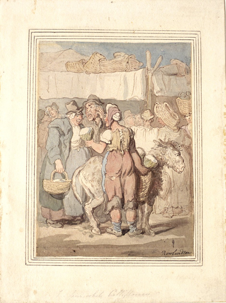 Il bel cavolfiore bianco da Thomas Rowlandson