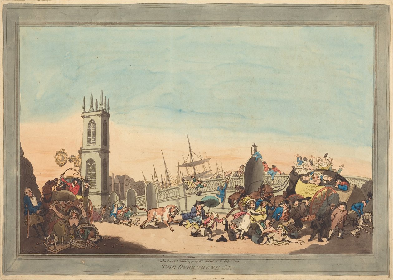 Il bue Overdrove da Thomas Rowlandson