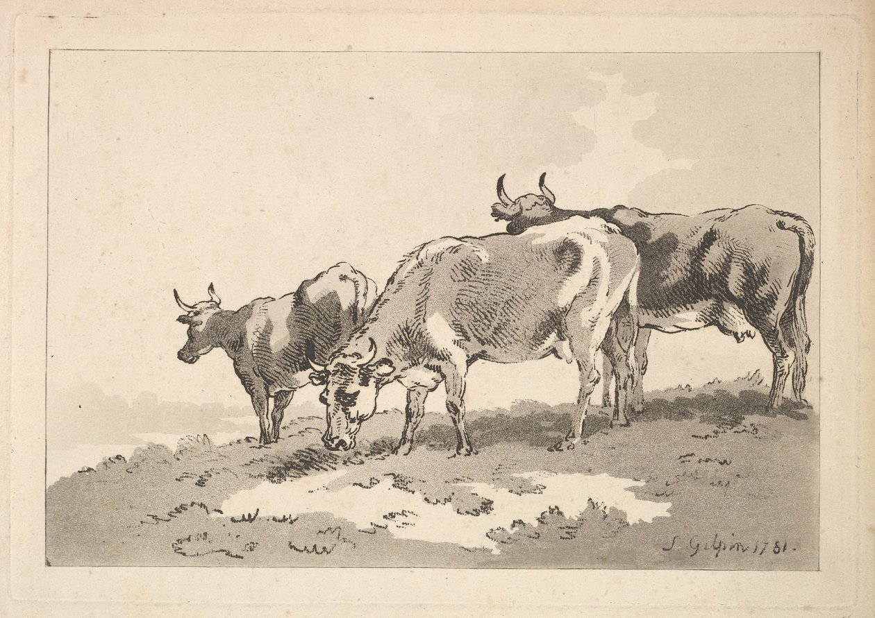 Tre mucche in piedi sul crinale di un campo da Thomas Rowlandson