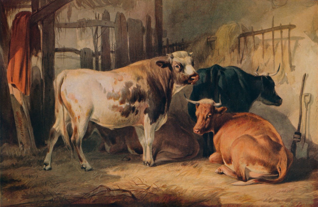 Un toro e tre mucche in una stalla da Thomas Sidney Cooper