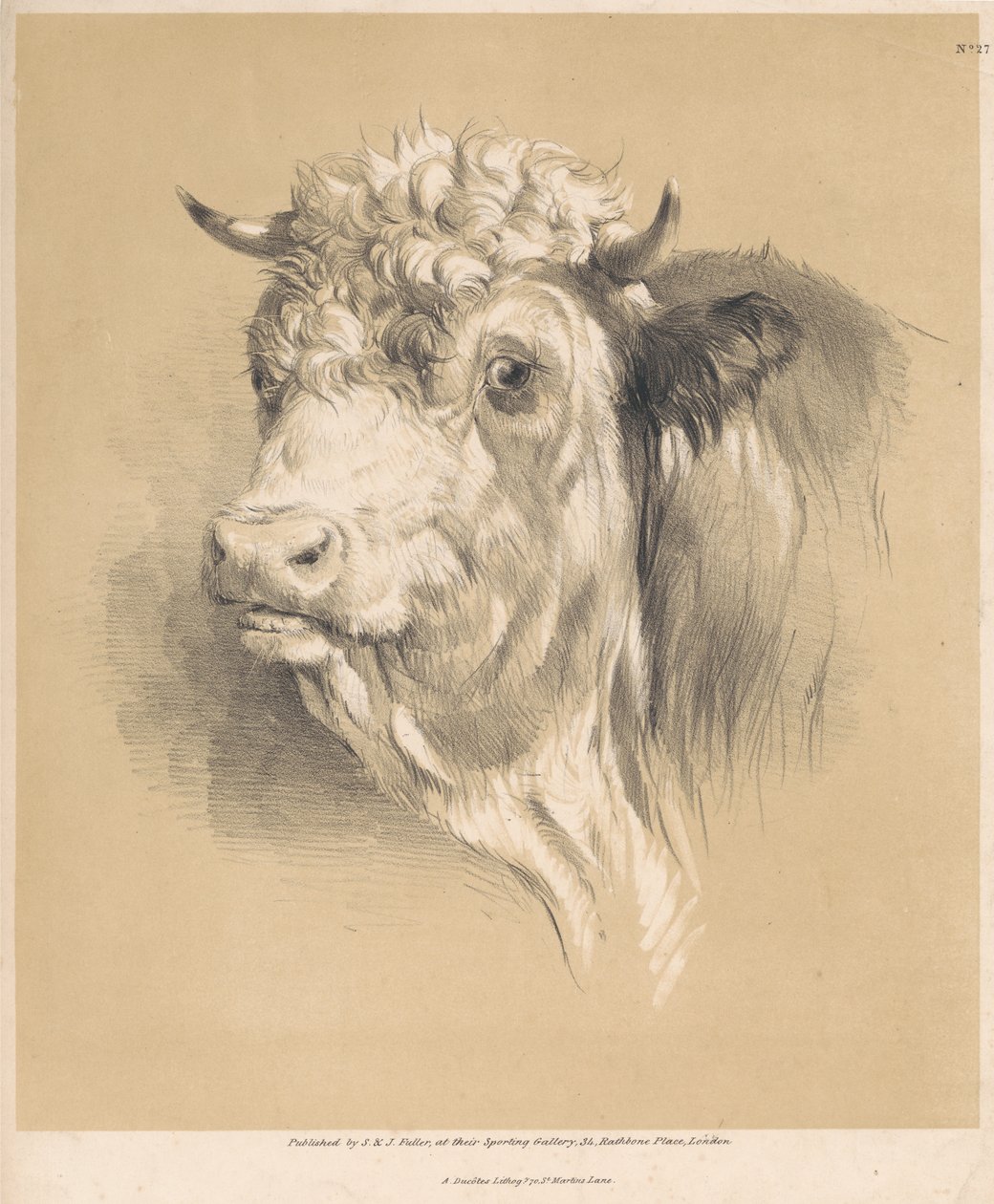 Una mucca, n. 27 da Thomas Sidney Cooper