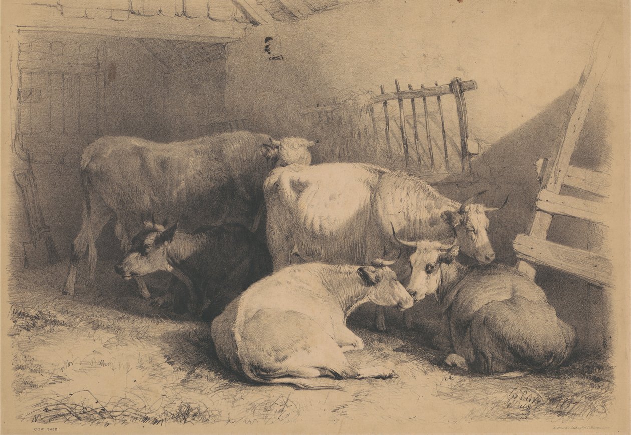 Stalla per mucche da Thomas Sidney Cooper