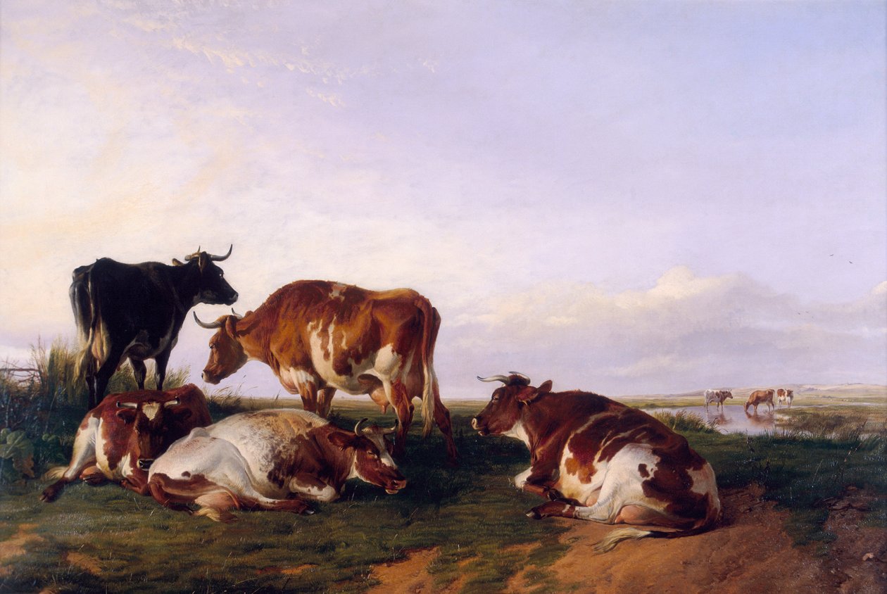 Paesaggio e bestiame da Thomas Sidney Cooper
