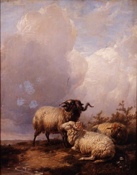 Pecore nel paesaggio da Thomas Sidney Cooper