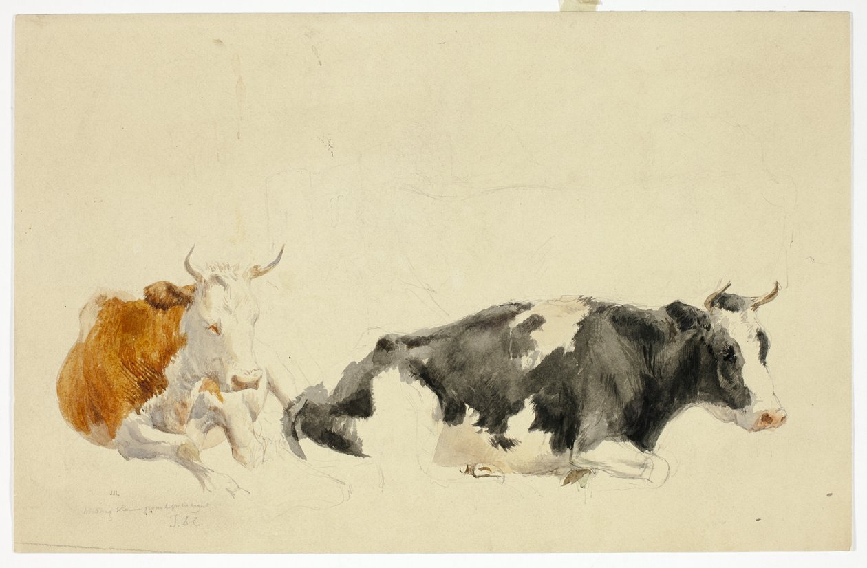 Due mucche supine (recto); schizzo di mucca in piedi (verso) da Thomas Sidney Cooper