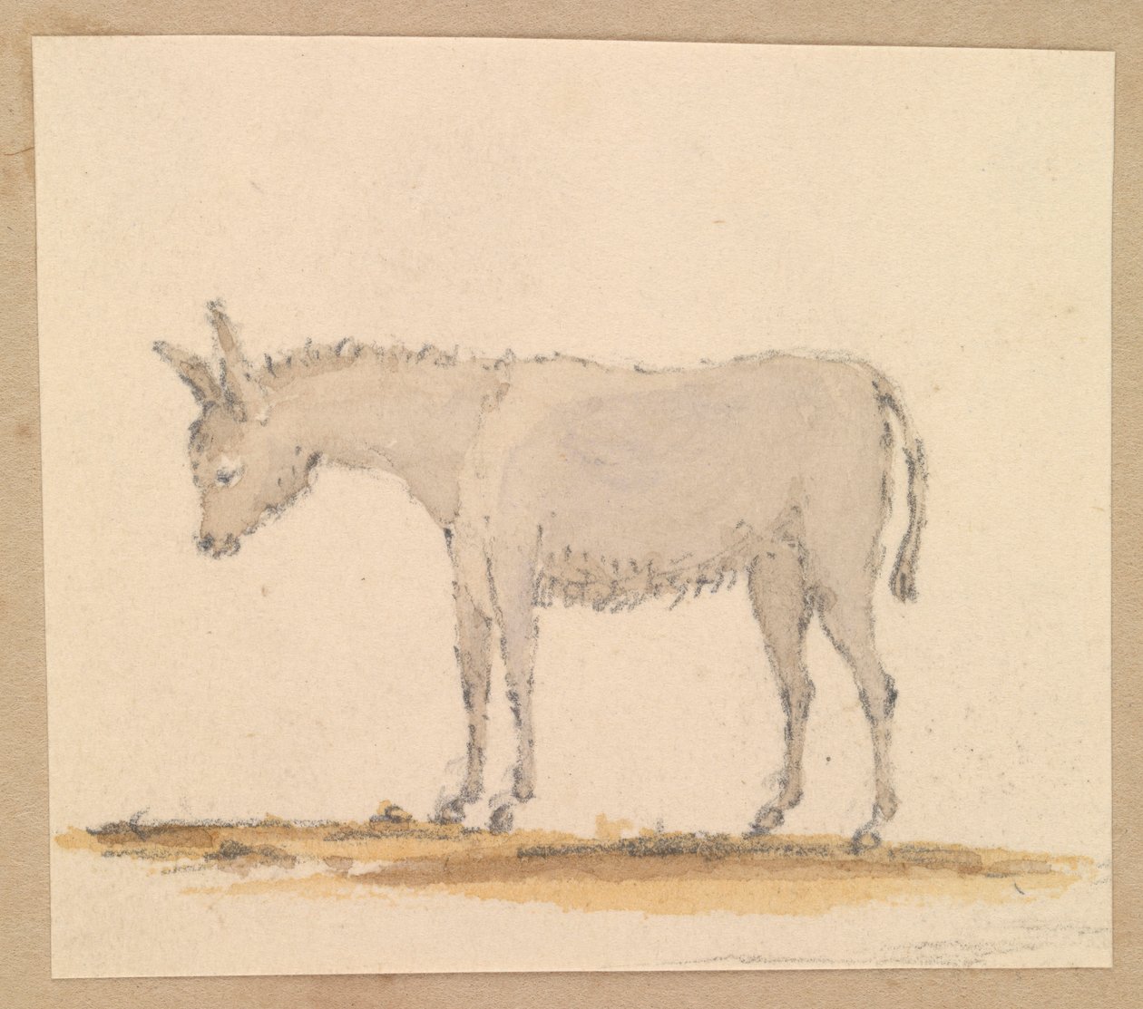 Studio di un asino, c.1820 da Thomas Streatfeild