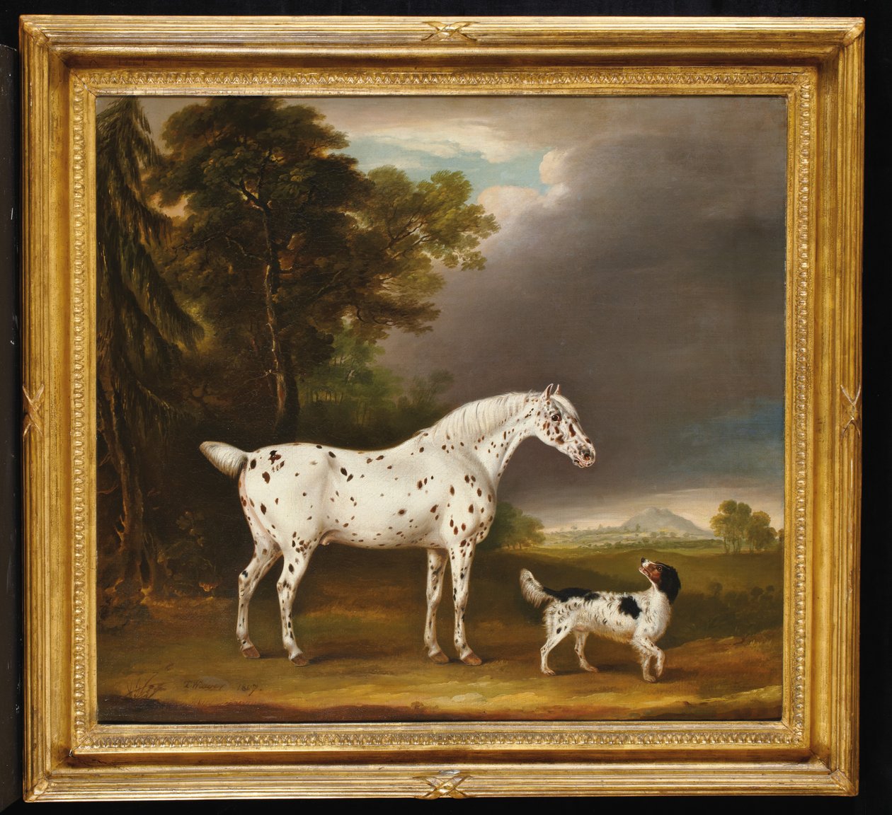 Cavallo Appaloosa e spaniel, 1807 da Thomas Weaver