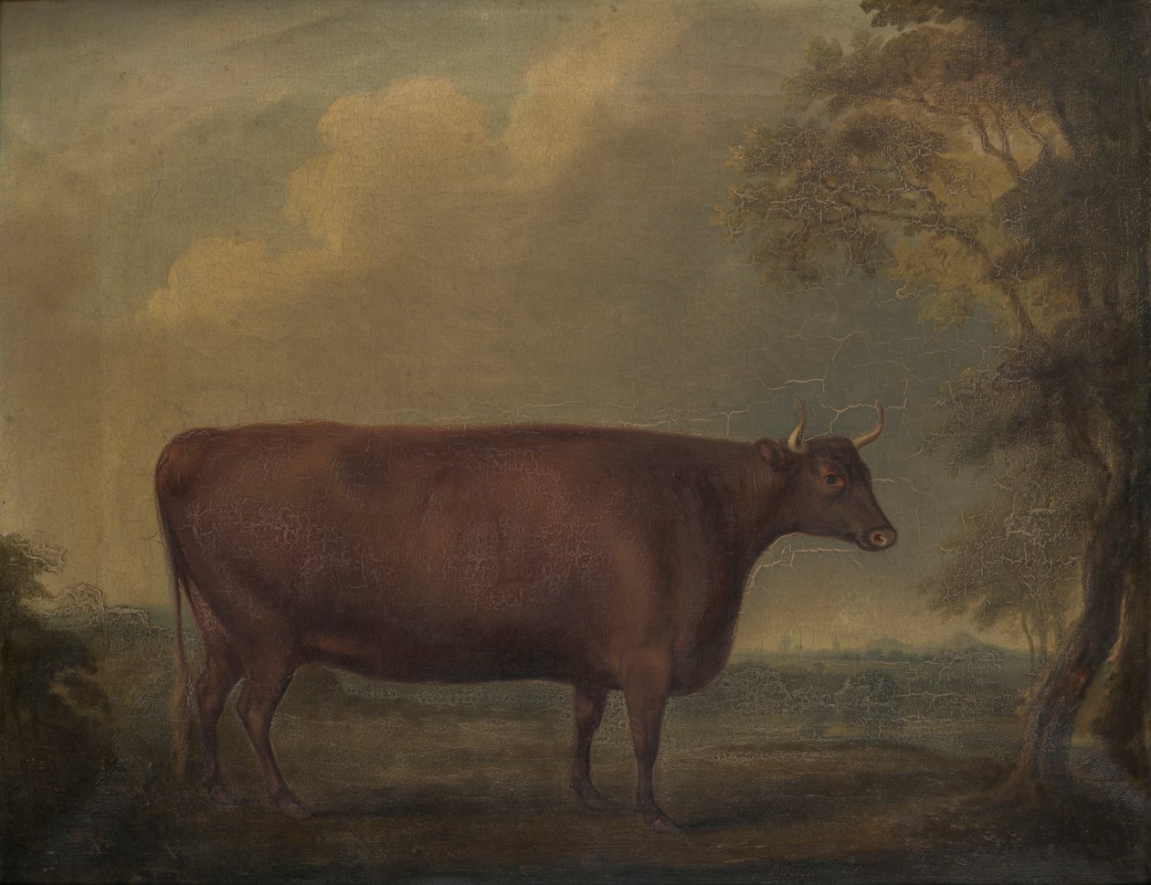 Giovenche rosse del Devon nel paesaggio da Thomas Weaver