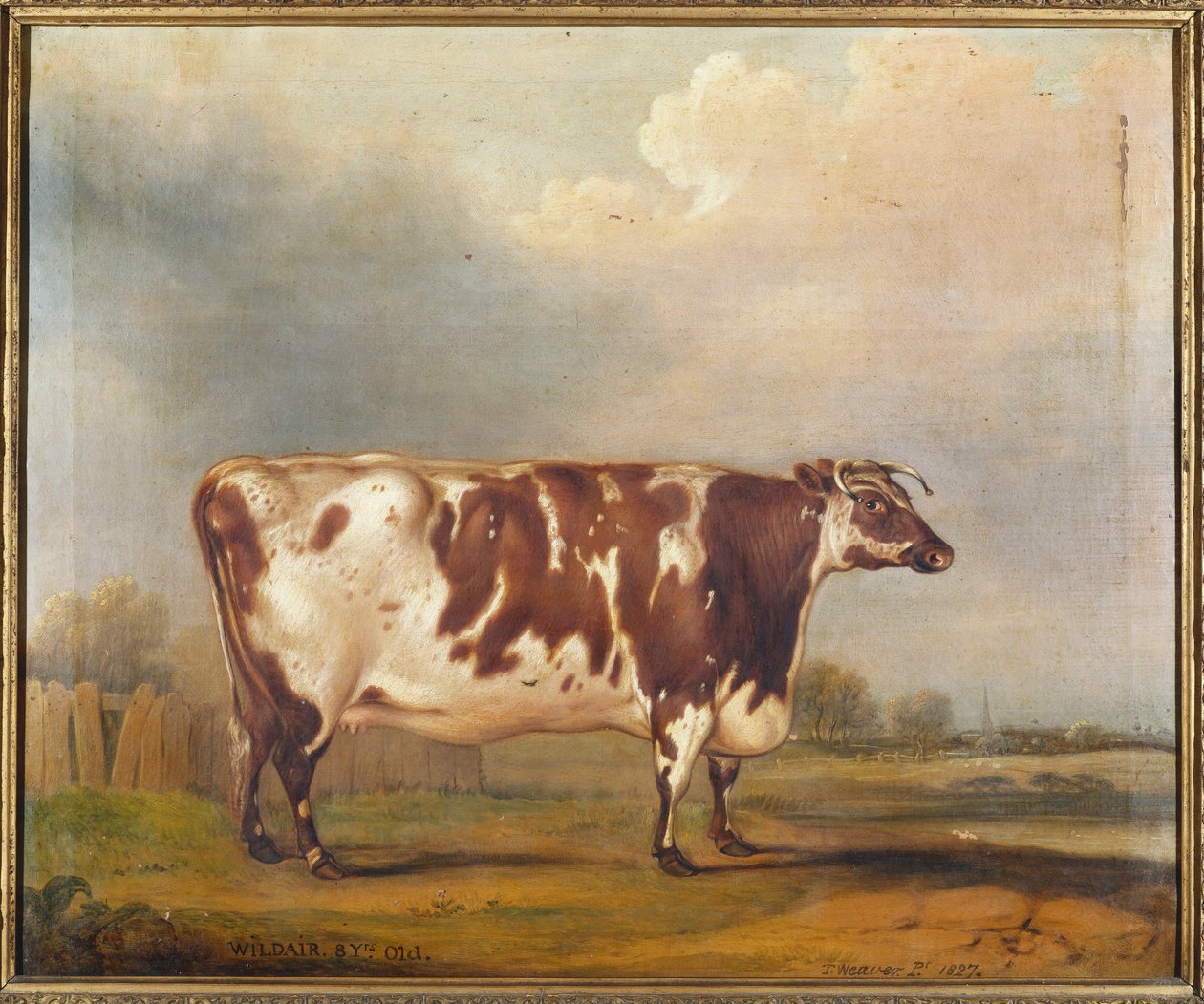 Wildair, una giovenca di otto anni in un paesaggio fluviale, 1827 da Thomas Weaver