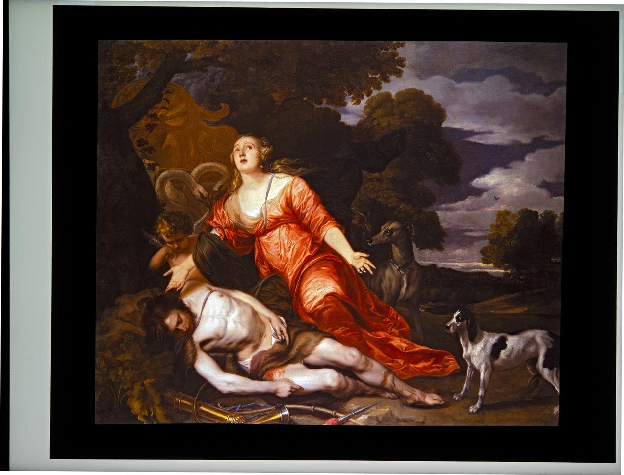 La Morte di Adone da Thomas Willeboirts Bosschaert