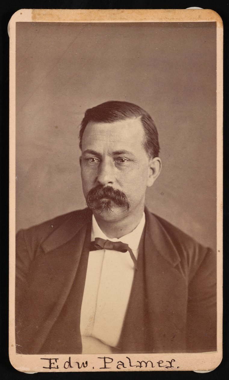 Ritratto di Edward Palmer 1829-1911, prima del 1900 da Thomas William Smillie