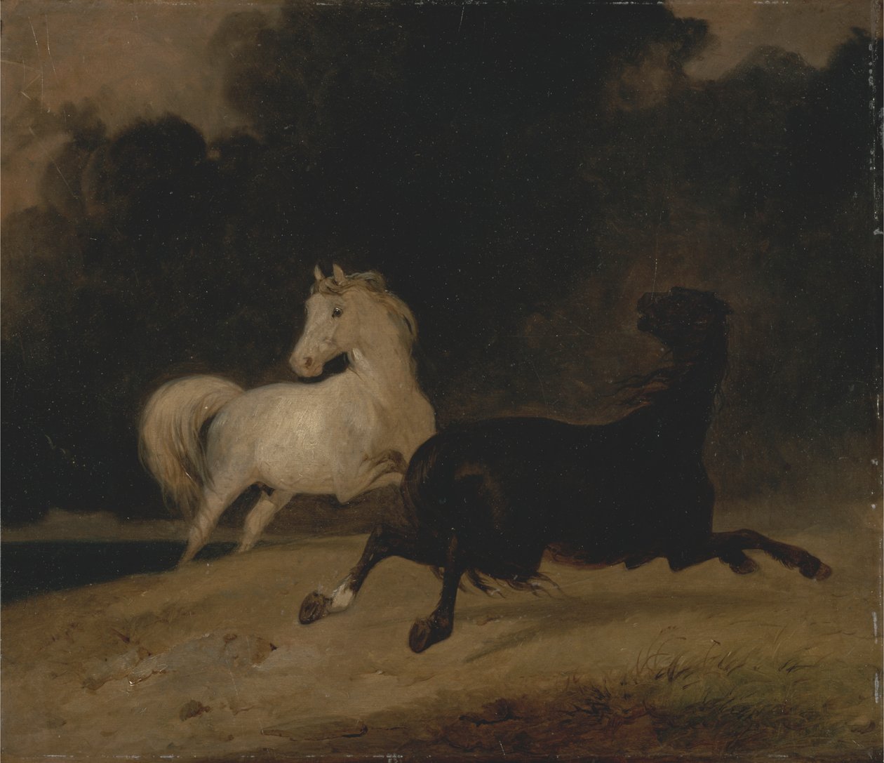 Cavalli in un temporale da Thomas Woodward