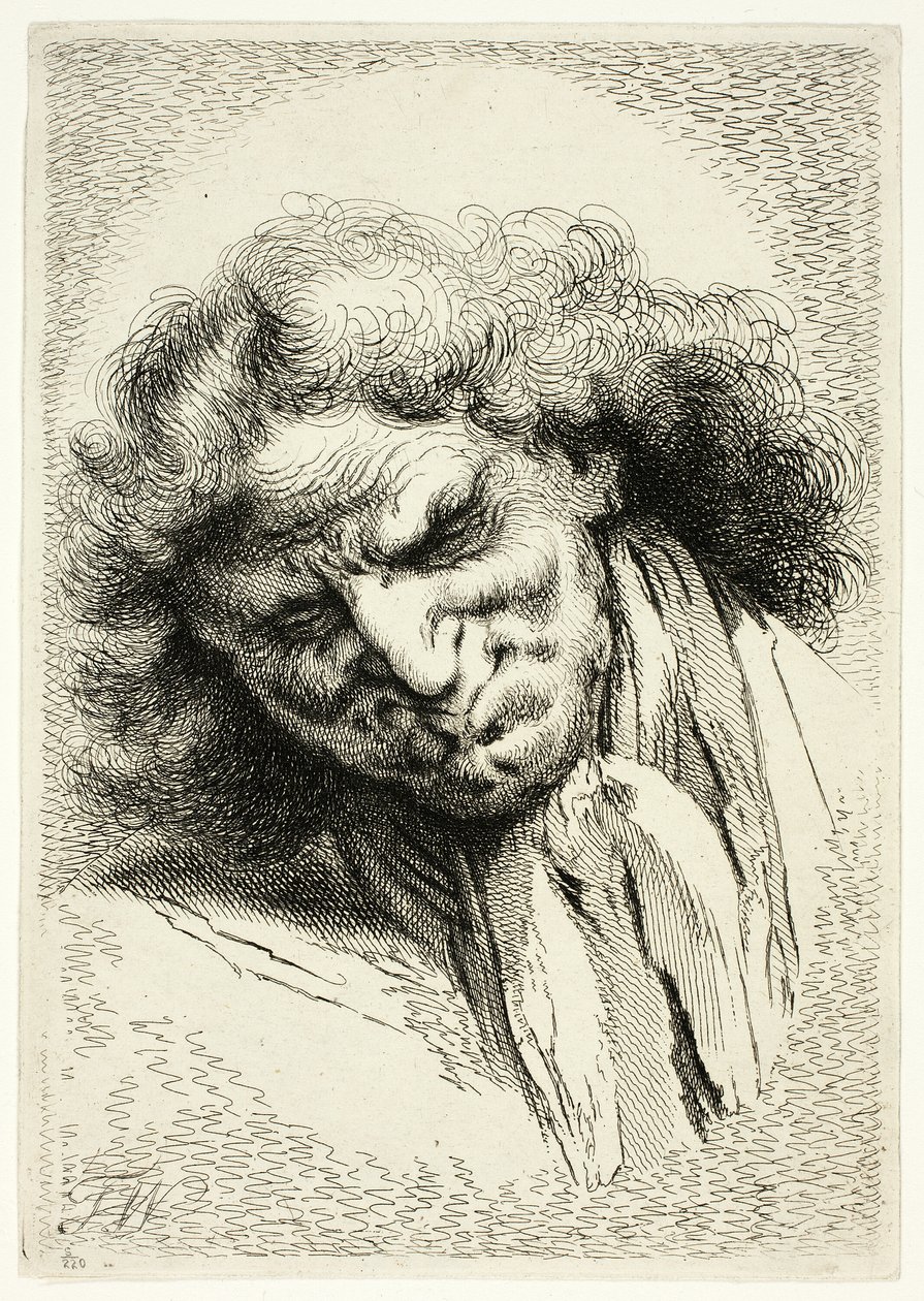 Testa di un vecchio che dorme da Thomas Worlidge