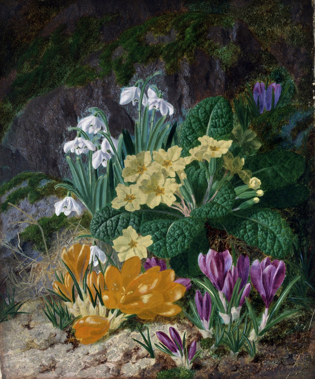 Fiori di primavera (tra cui crocus e primule). Dipinto di Thomas Worsey (1829-1875) Collezione privata. da Thomas Worsey