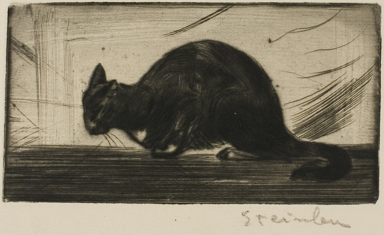 Gatto che inarca la schiena da Théophile Alexandre Pierre Steinlen