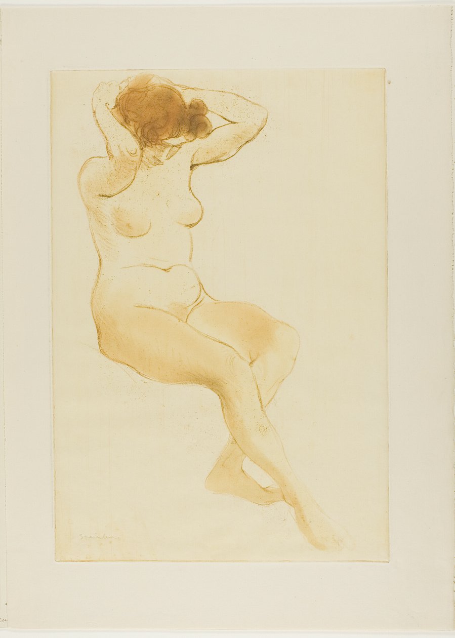 Donna che si sistema i capelli, vista di tre quarti da Théophile Alexandre Pierre Steinlen