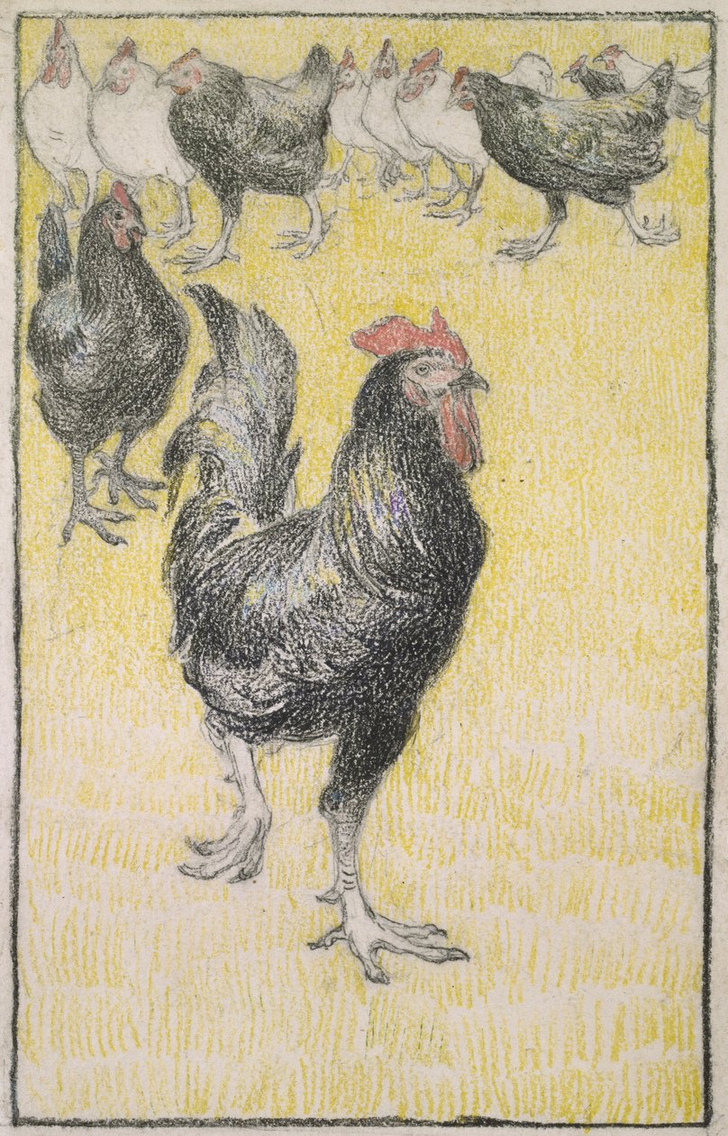 Gallo, seguito da galline bianche e nere da Théophile Alexandre Steinlen
