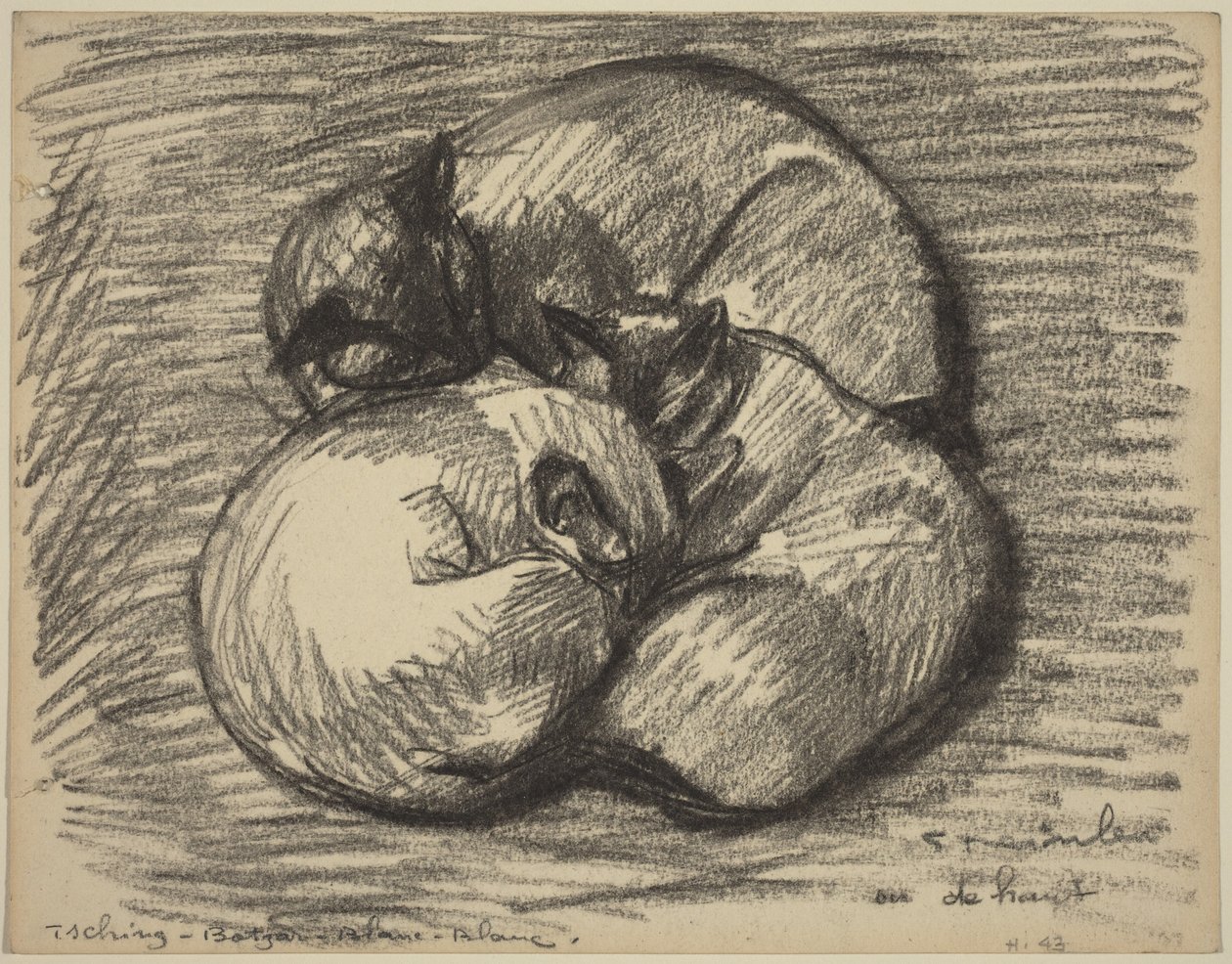 I gatti: Tsching, Batzar e Blanc-Blanc da Théophile Alexandre Steinlen