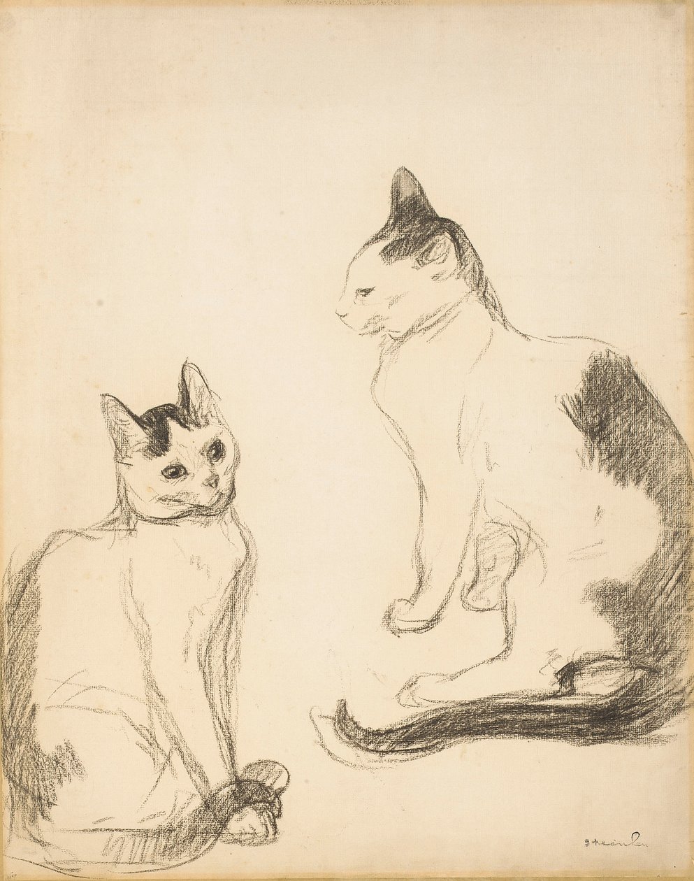 I due gatti da Théophile Alexandre Steinlen