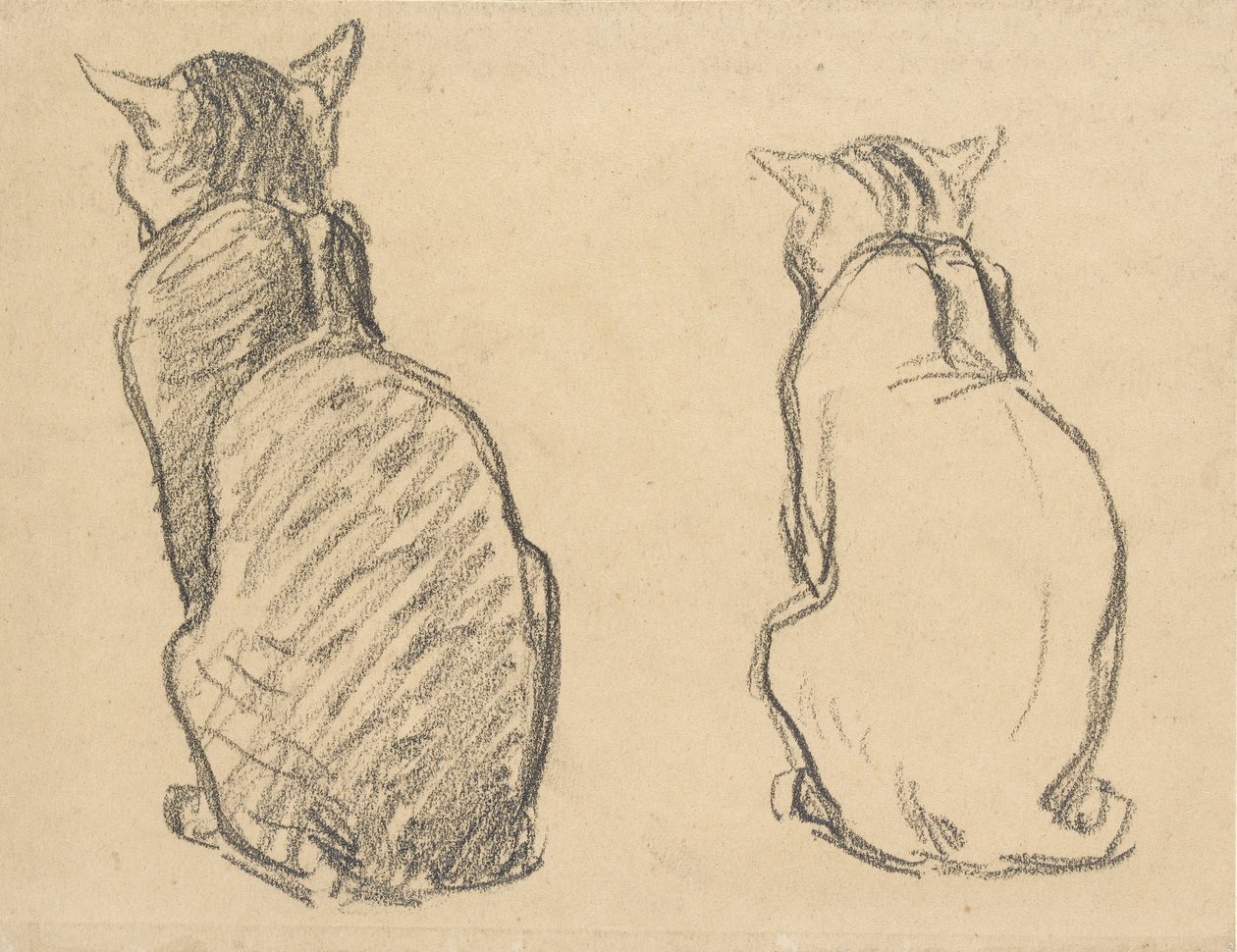 Due studi di un gatto, inizio XX secolo da Théophile Alexandre Steinlen