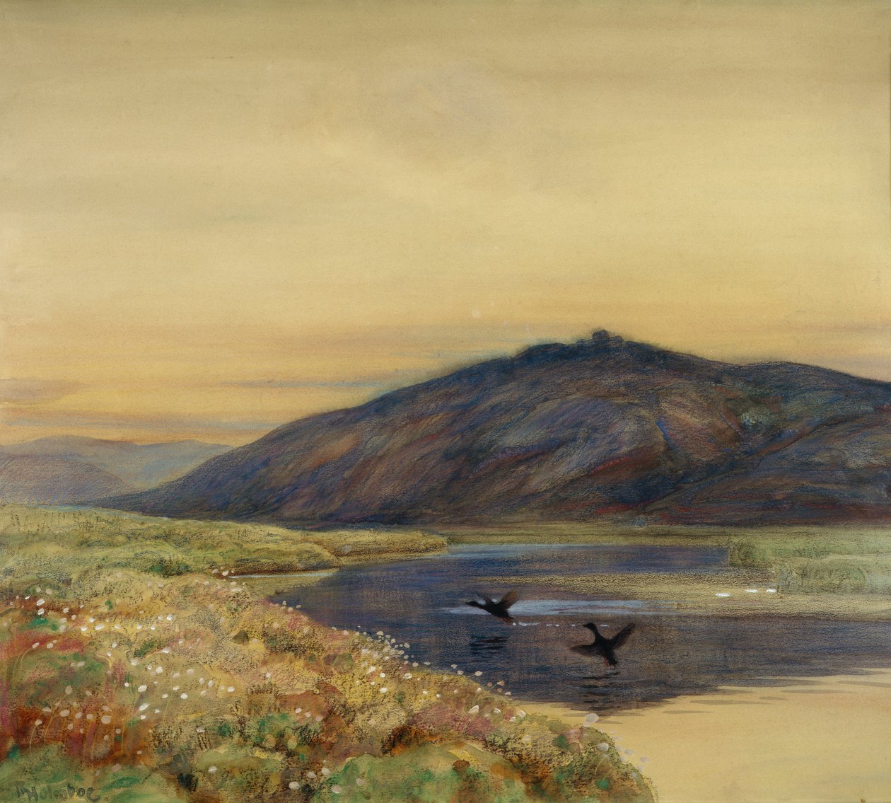 Paesaggio con Uccelli da Thorolf Holmboe