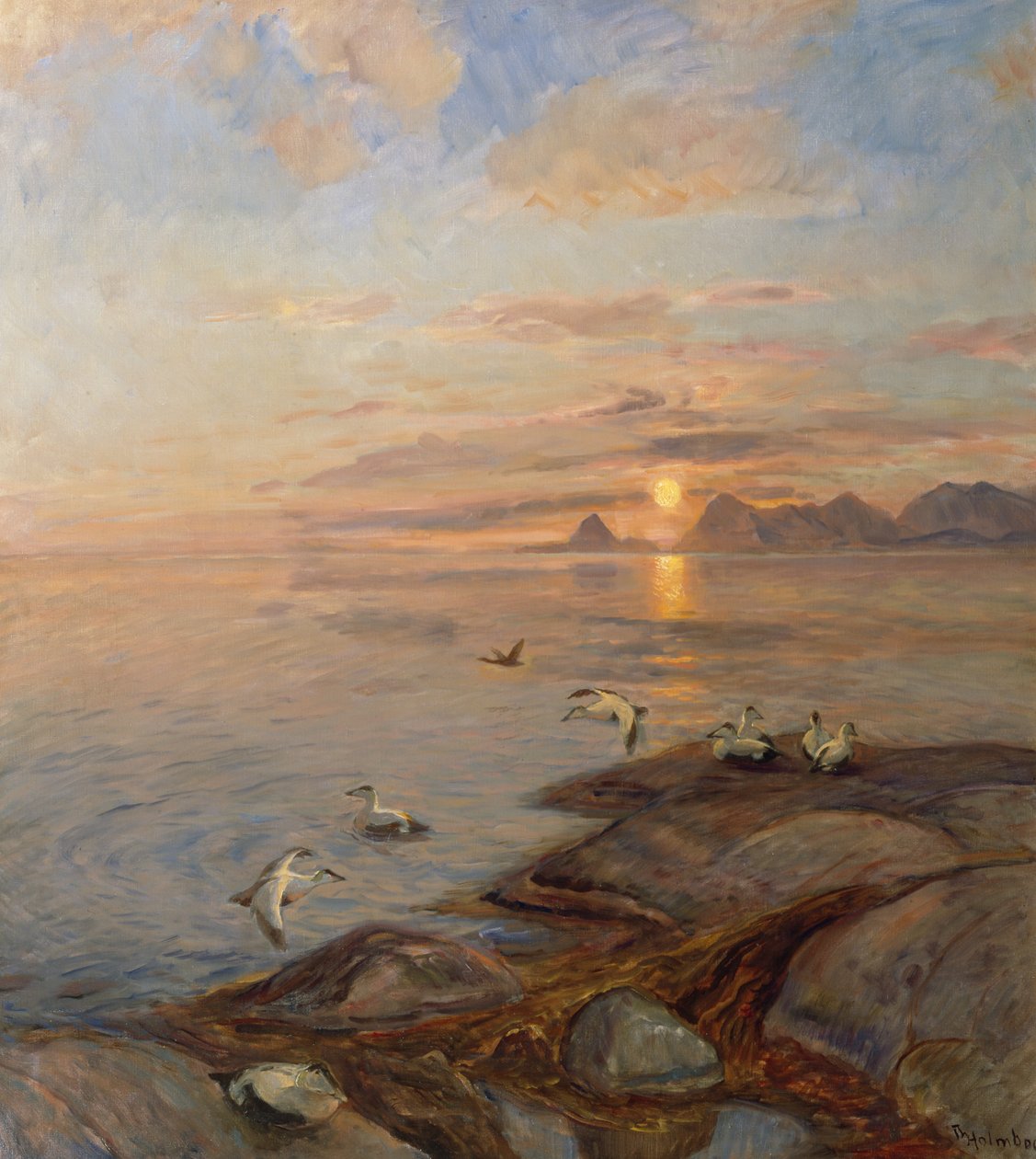 Uccelli marini nel sole di mezzanotte da Thorolf Holmboe
