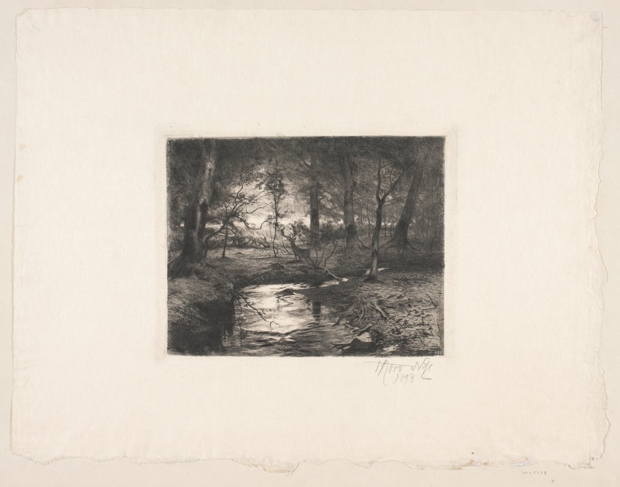 Aa nella foresta di Borrevejle da Thorvald Niss