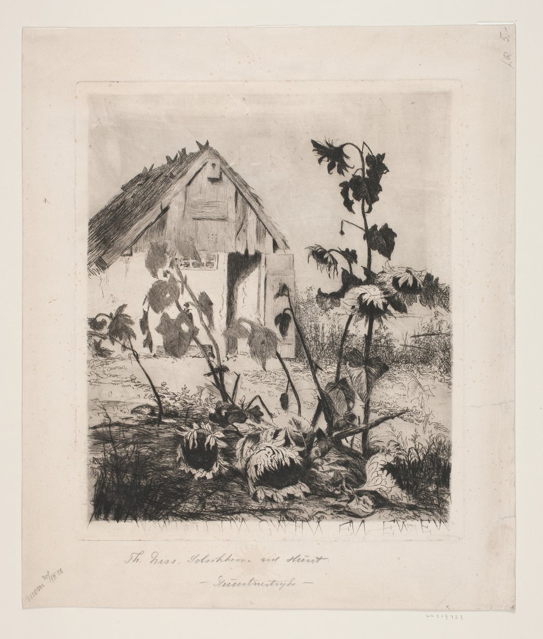 I girasoli presso la casa da Thorvald Niss