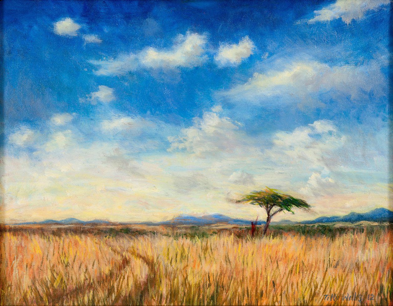 Paesaggio Mara, 2012 da Tilly Willis