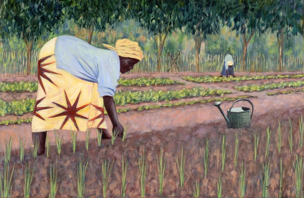 Piantare cipolle, 2005 da Tilly Willis